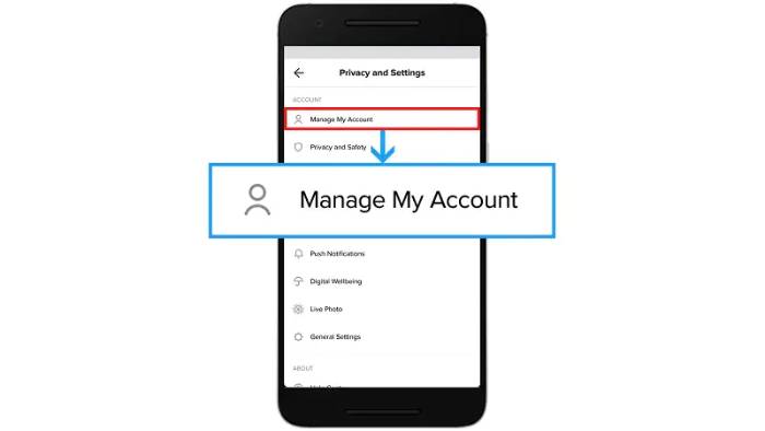 Lanjutkan dengan klik di “Manage Account”